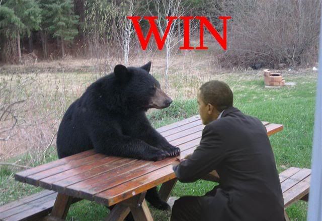 Obamawbear.jpg