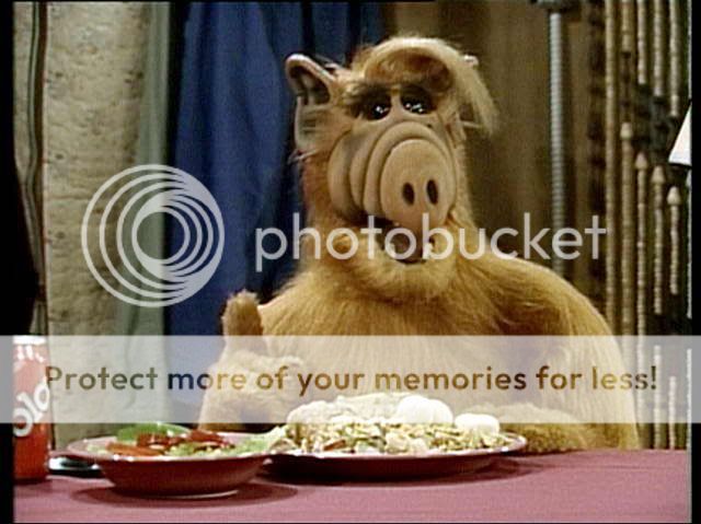 ALF_12.jpg