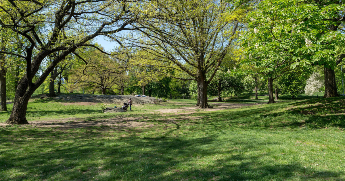 www.centralparknyc.org