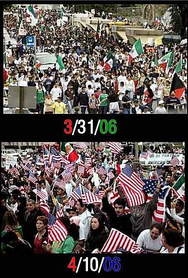 immigration-rallies.jpg