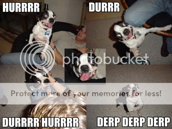 hurr_durr.jpg