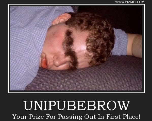 UNIPUBEBROW.jpg