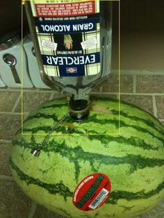 fbc11f601749e385262a23cc9f2a4e83--drunken-watermelon-knight.jpg