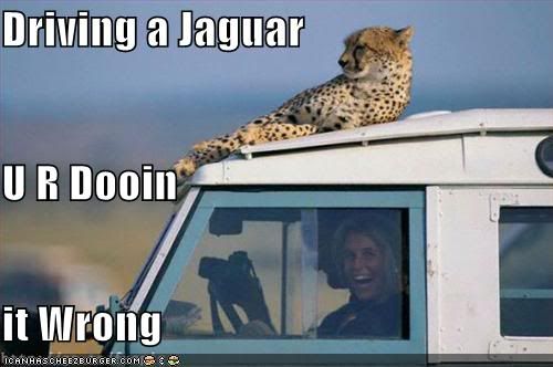 funny-pictures-jaguar-van-woman.jpg