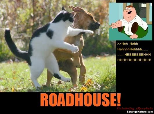 funny_family_guy_roadhouse_2.jpg