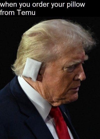 trump-ear-pillow-memes-7-20240717.jpeg