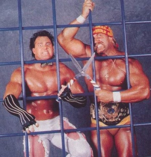 steelcage.jpg