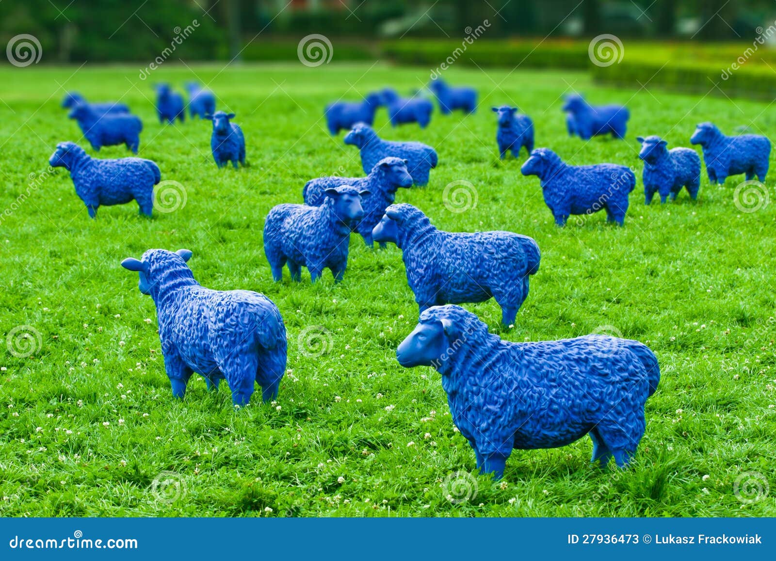 blue-sheep-27936473.jpg