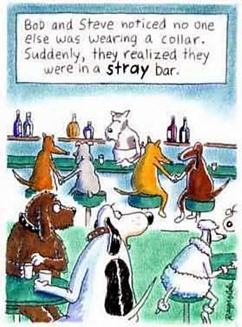 stray-dog-bar-humorous-animal-carto.jpg