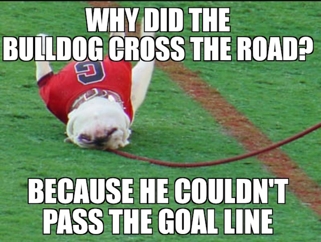 Bulldog-crosses-the-road-MEME.jpg