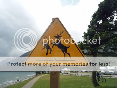 warning-sign-deer-dance.jpg