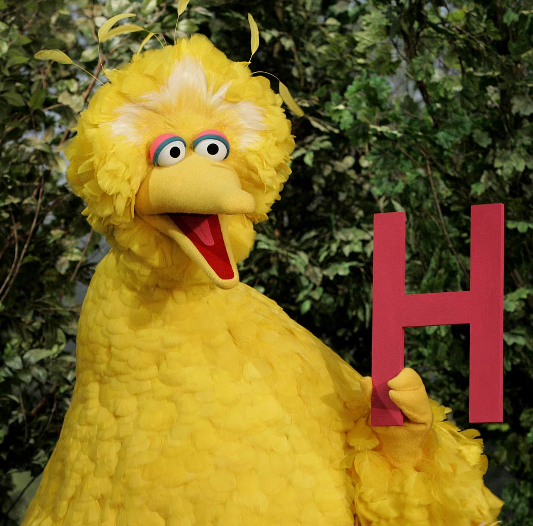 bigbird.jpg